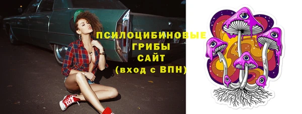 героин Богданович