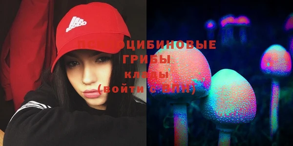 скорость Богородск